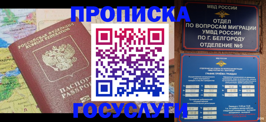 прописка регистрация в Белгородской области